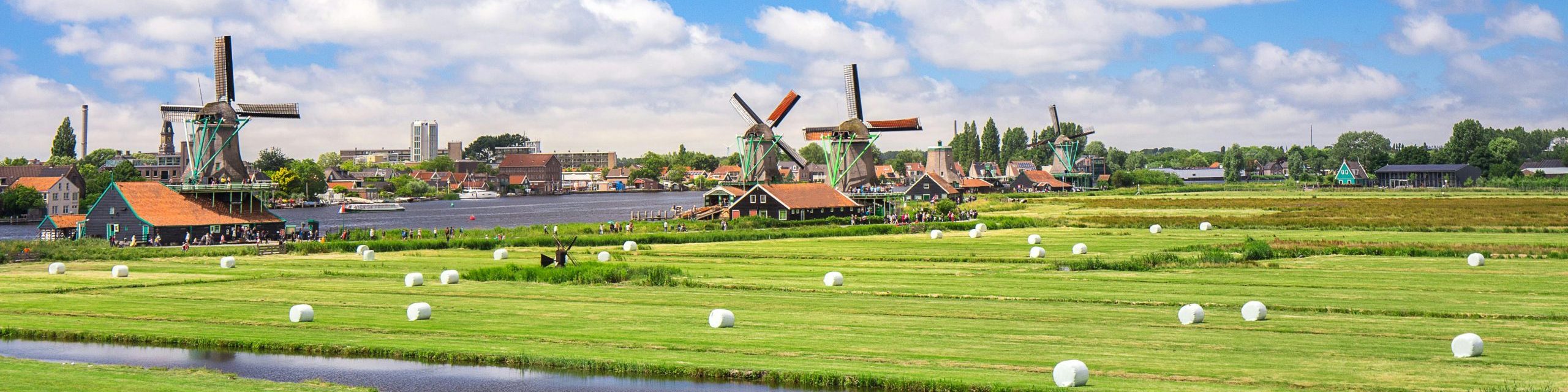 Prachtig plaatje van een helder blauwe lucht met een vers gemaaid grasveld en aan de horizon enkele prachtige molens.